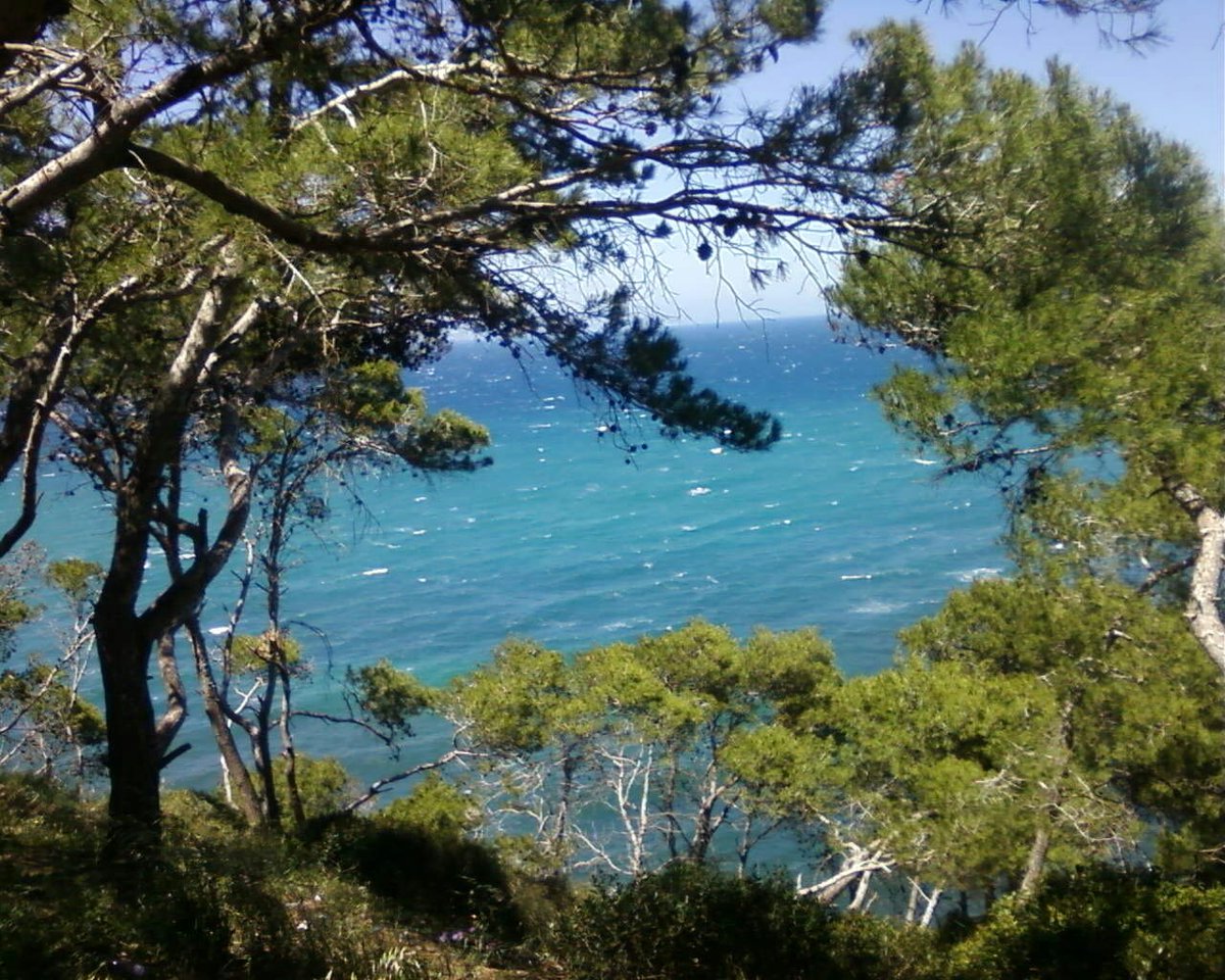 _sarah_zi's tweet photo. #السياحه_في_الجزاير
#اكتشف_الجزاير 
#الجزائر 
#تيبازة 

I take it
#Algérie #tipaza #nature #Travel 
#Tourisme #photo #photography https://t.co/kGeRC6be2k