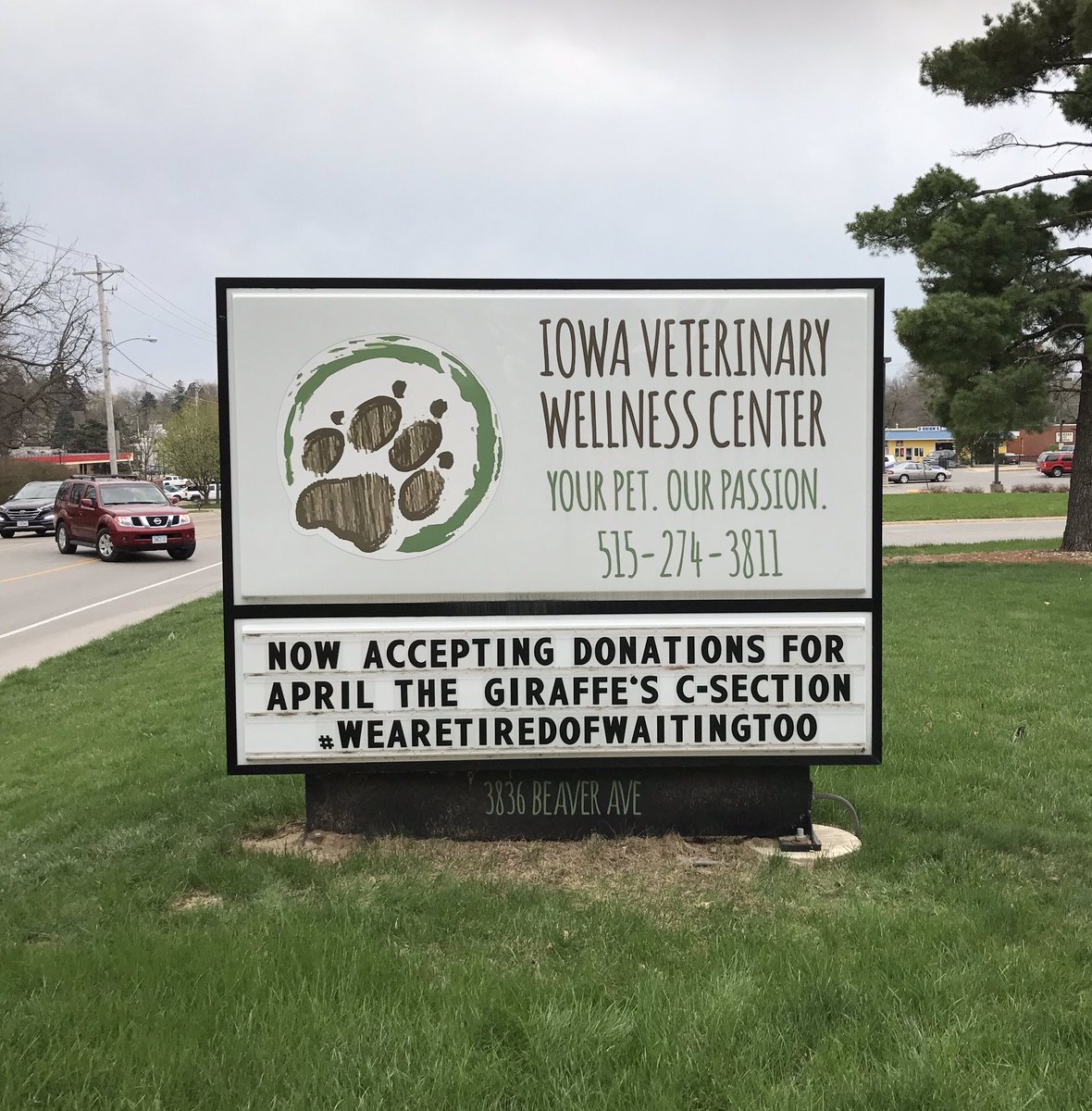 I had fun with our sign yesterday!
#AprilTheGiraffe