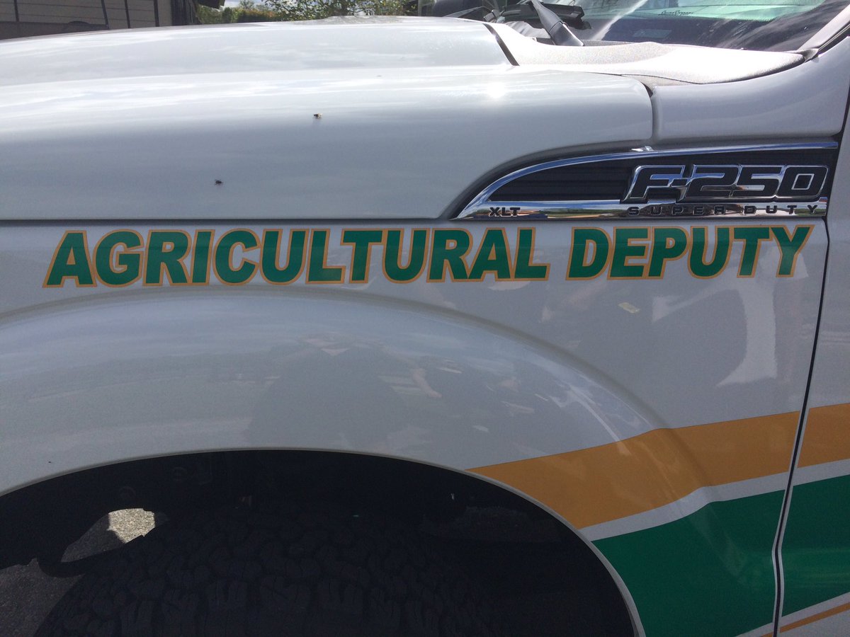 maggiellorenz's tweet photo. @MCSOFlorida wants to develop personal relationships with farmers through the new #AgWatch program. More at 5 on @WUFTNews https://t.co/nUfttmEXRX