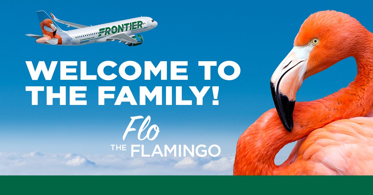 Frontier Airlines on X: Help us welcome Flo the Flamingo to our