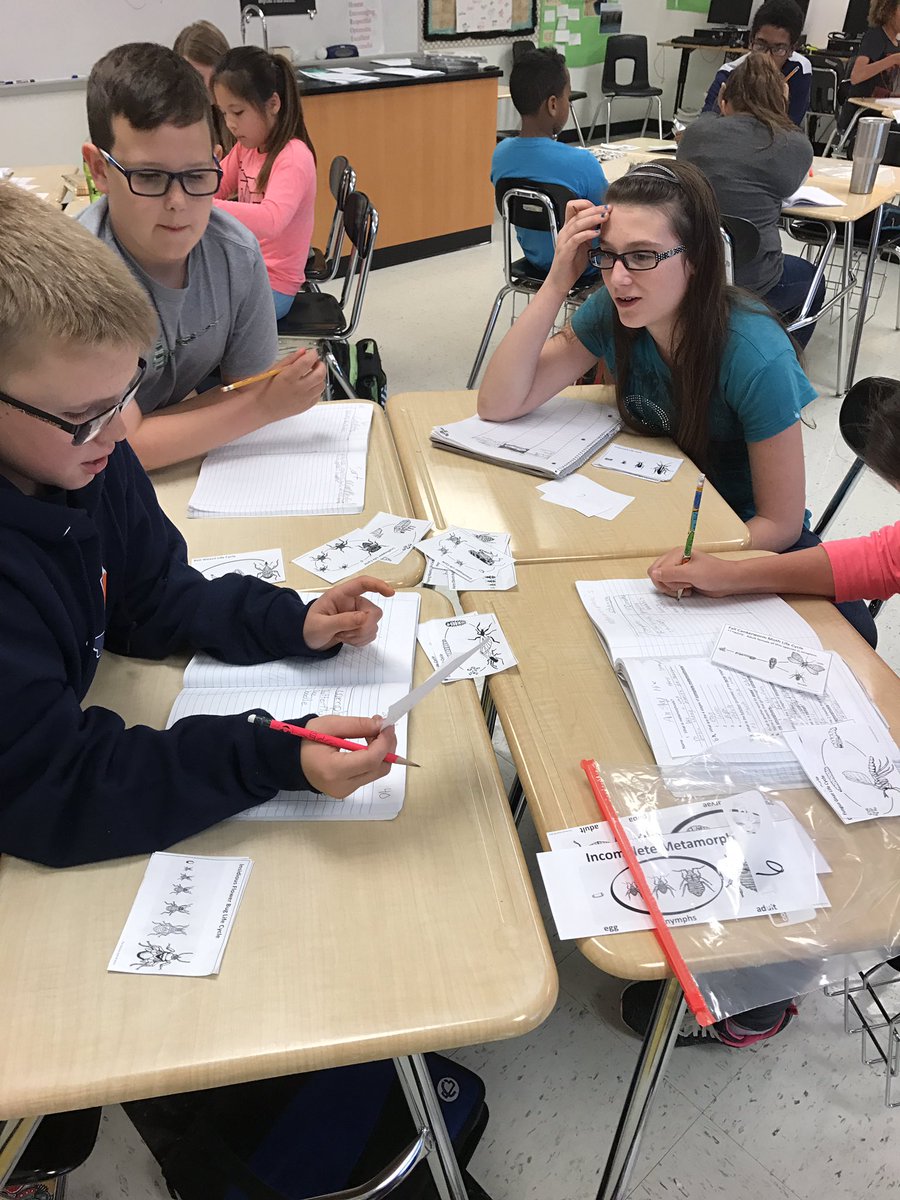 Lorijackson1971's tweet photo. Deciding if insects go through complete or incomplete metamorphosis. #GroupworkRocks https://t.co/1lQt5k0sN2