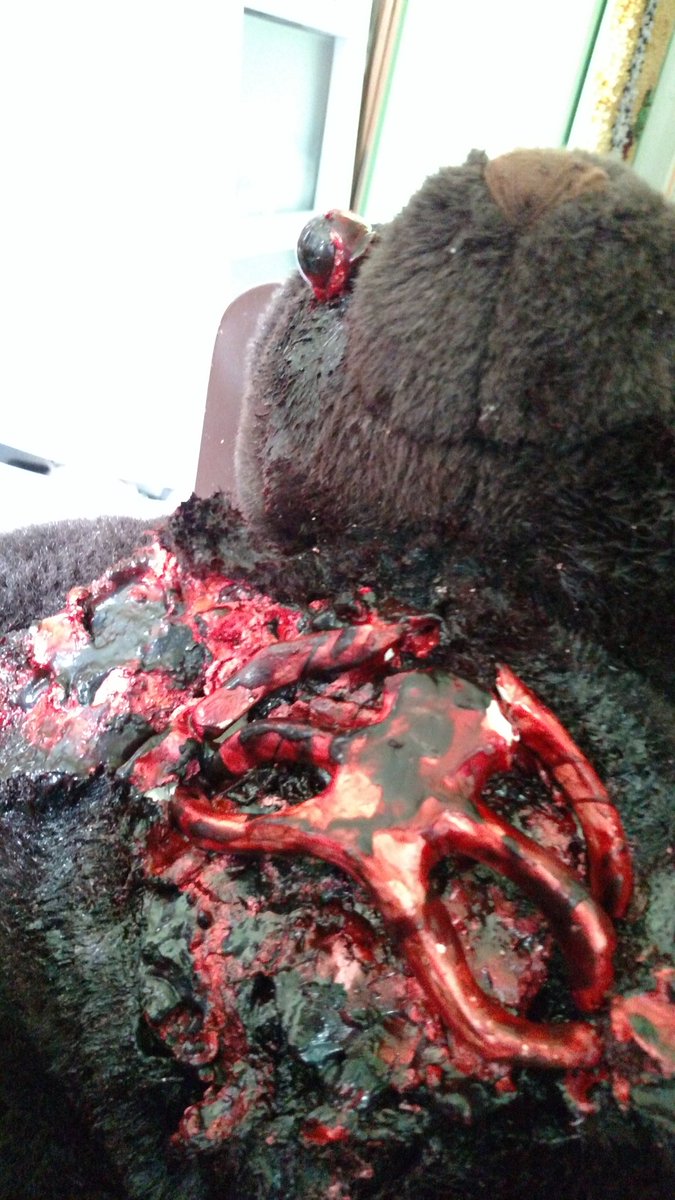 zombiecellarart's tweet photo. Teddy autopsy.  A personal project.
#justgettingstarted https://t.co/VfeIoTq5Tc