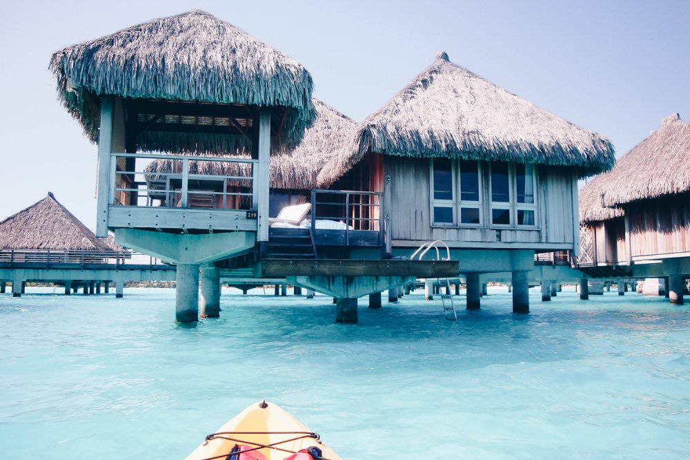 ButDansLaVie's tweet photo. S'évader à Bora Bora 🌴☀️🐠 https://t.co/k8rTonJ1em