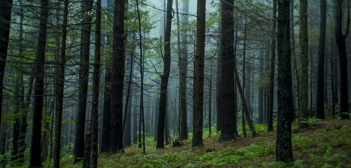 Our newest partner: Mo Skel Photography. Amazing imagery of the #Catskills #ADK and western #wilderness bit.ly/2pdjfYU #exploreny