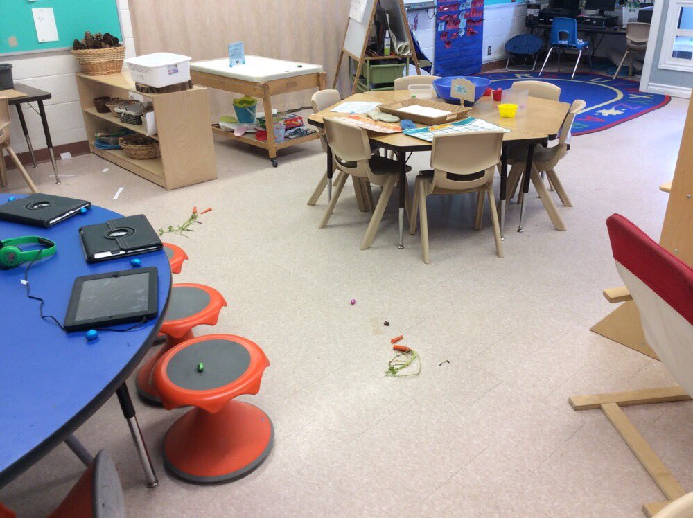 We had a visitor in our class today and they left a bit of a mess. #happyeaster <a href="/RidgewoodPS/">RidgewoodPS</a> #kindergartenfun