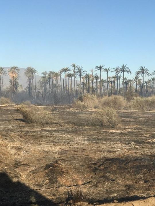 CAL_FIRE's tweet image. #66Fire [final] off of Avenue 66 and Highway 111 near Mecca (Riverside County) is now 100% contained at 30 acres.   rvcfire.org/_Layouts/Incid…