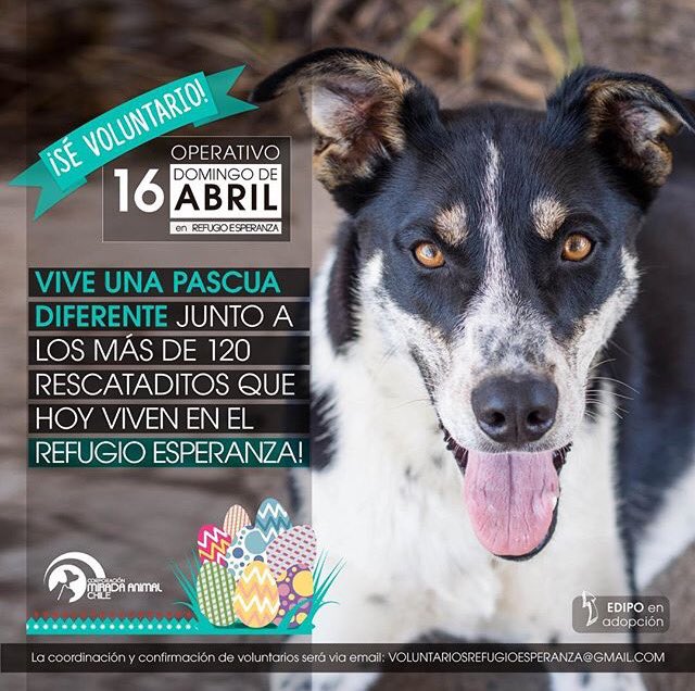 Vive una Pascua diferente en el Refugio Esperanza.