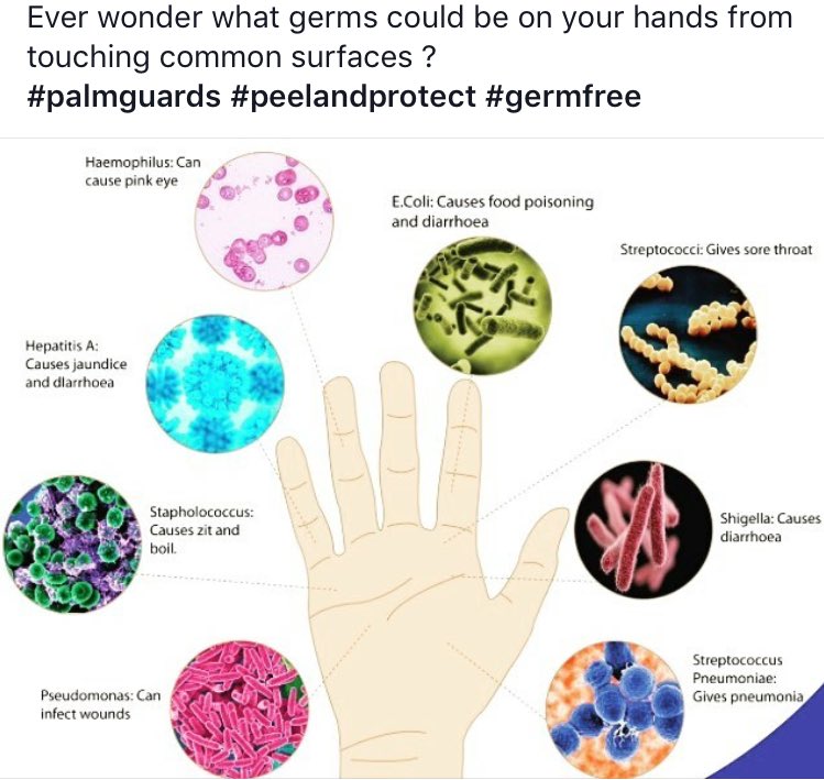 PalmGuards's tweet photo. Protect your hands from all of these germs #peelandprotect #stopgerms  #thinkbeforeyoutouch #yourhealthisinyourhands #simpleandeffective https://t.co/9v2Lcip1N6