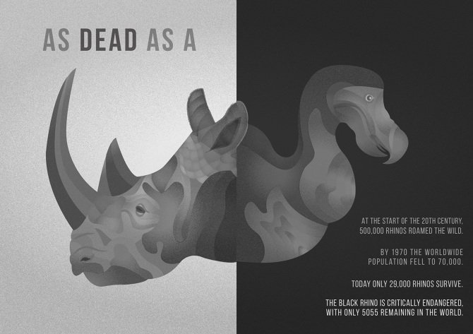 A recent piece on Rhino conservation #illustration  #design  #wildlife #rhino #Illustrator #dodo