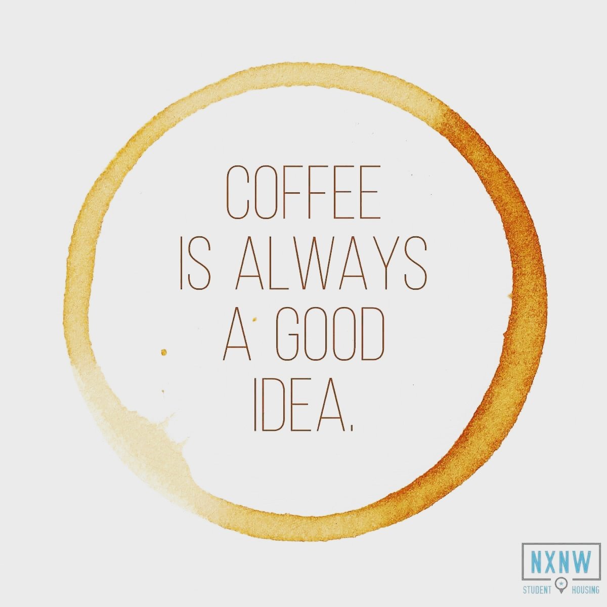 LiveNXNW's tweet photo. Now offering a $100 reward card when you sign a new lease. Come in for coffee a tour and see first hand what off site campus living is about https://t.co/qwyK4JSP56
