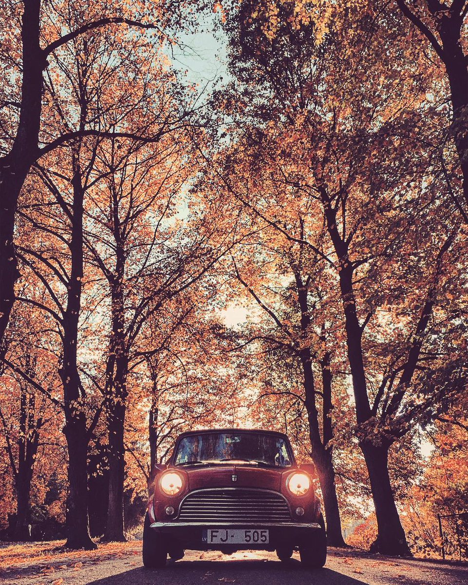 Love #Latvia? Love it even more with a #ClassicMini in tow, like #photographer <a href="/lindarutule/">Linda Rutule-Treimane</a>.