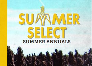 ForageFirst's tweet photo. How do “one-cut” #forage #sorghums compare to corn silage? See here: https://t.co/hhgxqEhJ8x #foragefirst #summerselect #summerannuals https://t.co/utUl6QdcoS