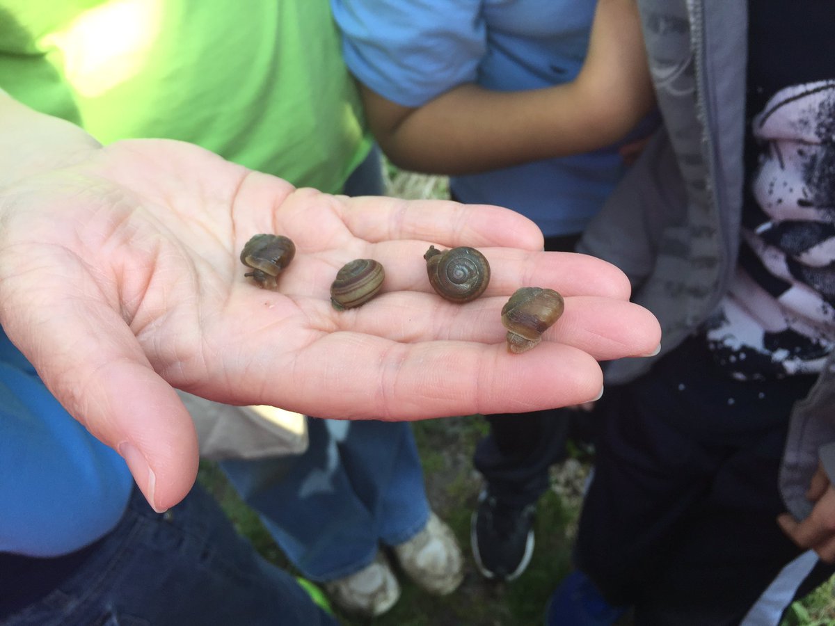 LuxScience's tweet photo. 6A Wetlands Field Trip!  Beautiful weather and awesome kids!  @CounselorThull @WriteOnMoni  @BuffettMagnet https://t.co/27tFgkgadP