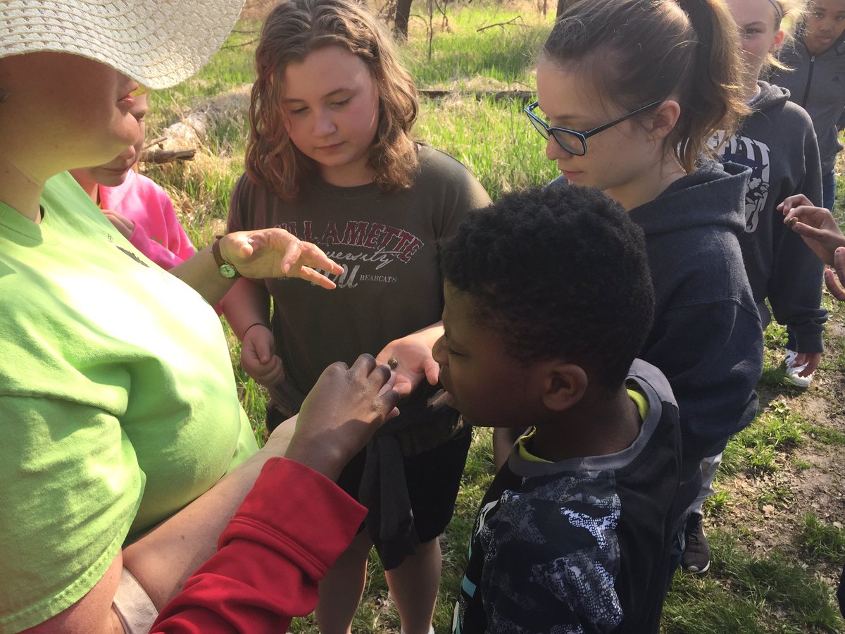 LuxScience's tweet photo. 6A Wetlands Field Trip!  Beautiful weather and awesome kids!  @CounselorThull @WriteOnMoni  @BuffettMagnet https://t.co/27tFgkgadP