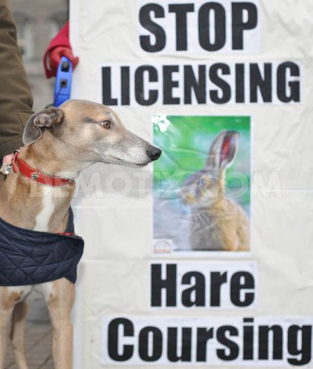 BadHareDays's tweet photo. @banbloodsports 

Top Irish greyhound trainers feed live animals to  dogs!
  
 https://t.co/msCaFckAlQ https://t.co/IThe6LS12p