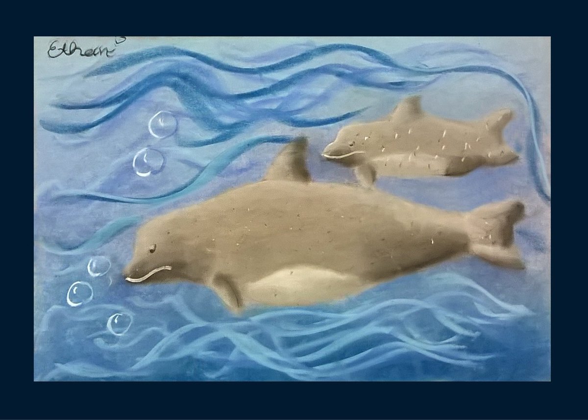theartclasses's tweet photo. Artist of the day... Ethan T., age 10. Pastel on paper. #thegluckmethod #pastel #art #dolphins https://t.co/M6duoN7YxY