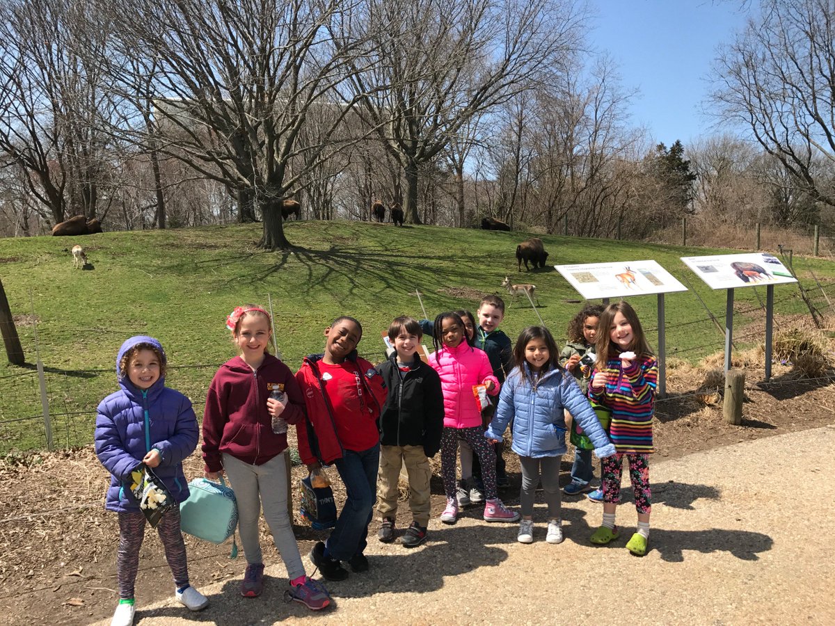 The kids enjoying their trip to the Queens Zoo today for the Holiday Program. To join tomorrow's trip to Camp Friedberg, call 516-766-4341!