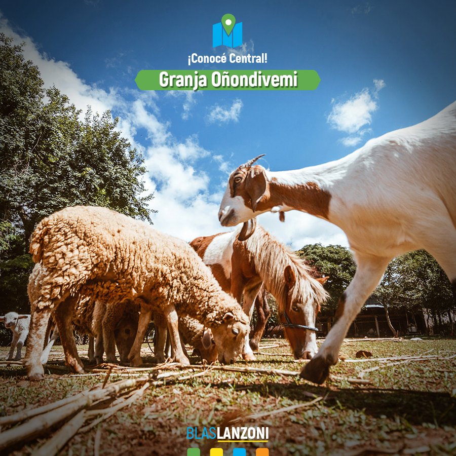 La #GranjaOñondivemi en J. Augusto Saldívar, espera sorprenderte con una jornada rural cerca de Asunción. #HacéTurismoInterno #ConocéCentral
