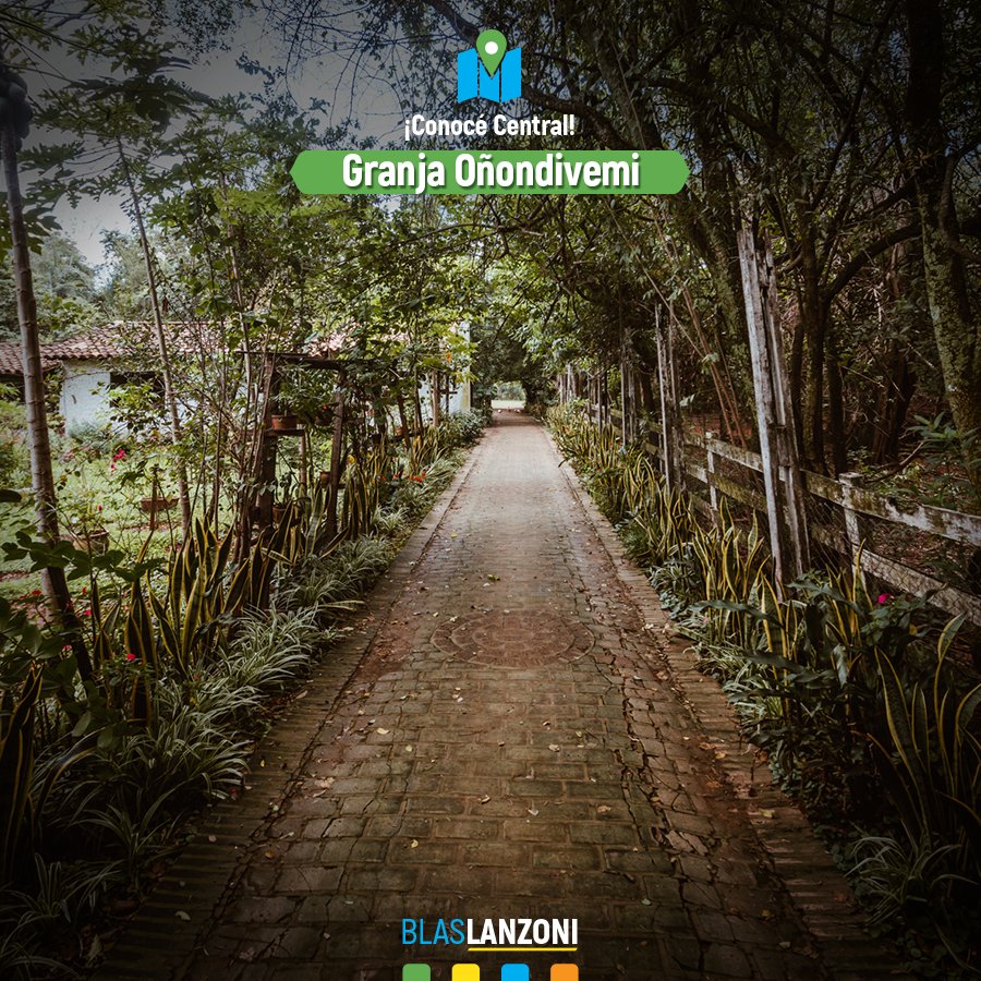 blaslanzonipy tweet media