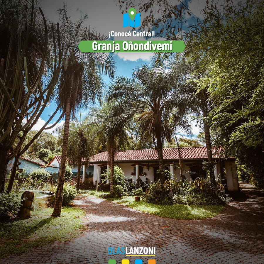blaslanzonipy tweet media
