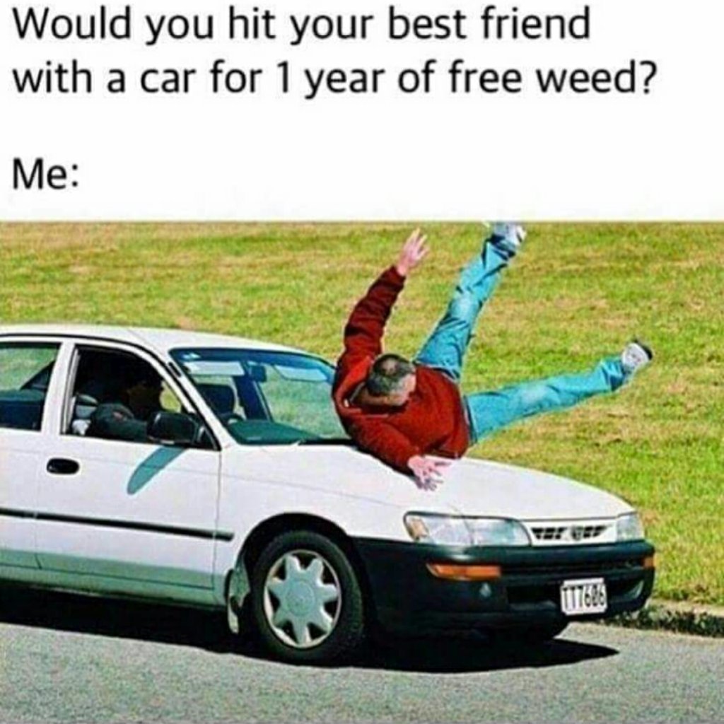 BossInstinct's tweet image. Sorry, Not sorry Bestie!!