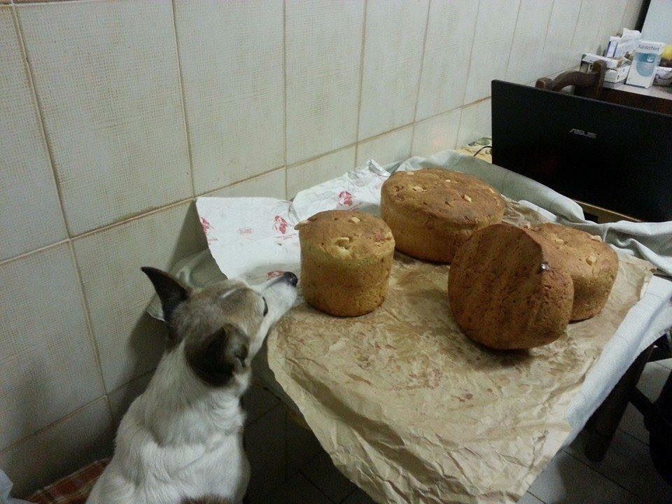 TrastevereRM's tweet photo. Happy Easter a grande richiesta co....la #ricetta della #tortalformaggio de NonnaIsolina..anche quest'anno un must per #Pasqua... https://t.co/BB5syJT3nO