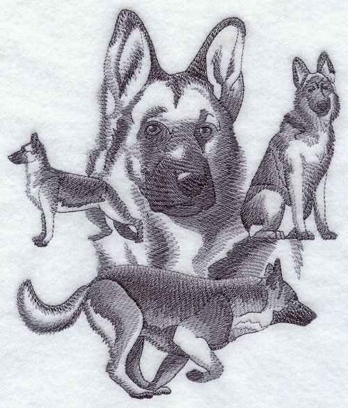 Silkdigitize tweet picture