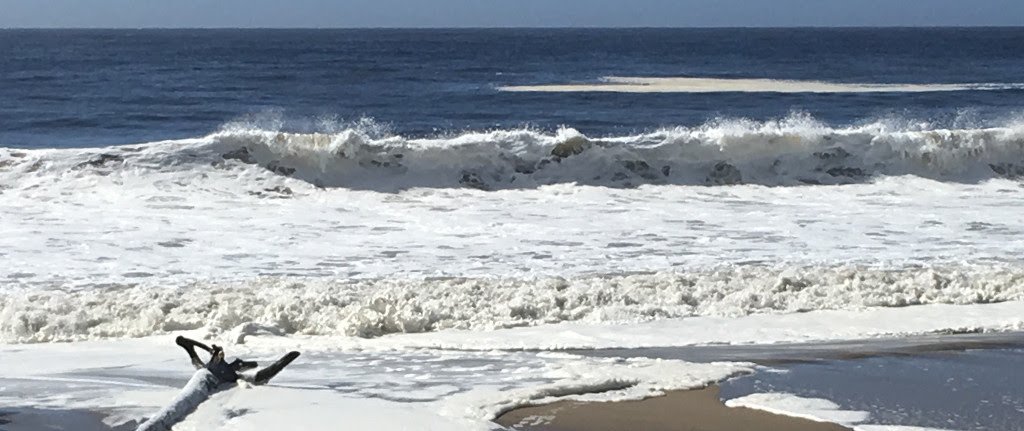 WaterForSC's tweet photo. County Water Agency Co-operation on the Rise
https://t.co/ASvINoI5L1
#WaterforSantaCruz #SantaCruz #SanLorenzoValleyWaterDistrict https://t.co/GpVMBGqPzw