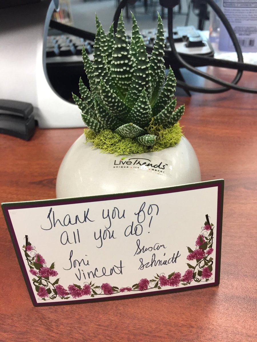 WNGALibrary's tweet photo. Huge thank you @BandrewsBrad and others for buying us lunch! Also, thank you @wngacounselors for the precious plant #LibraryWeek https://t.co/zicn5ffE7N