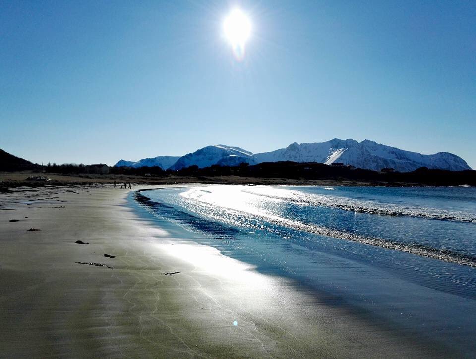 God #påske fra Gimsøy i #Lofoten! 🐥xxlofoten.no