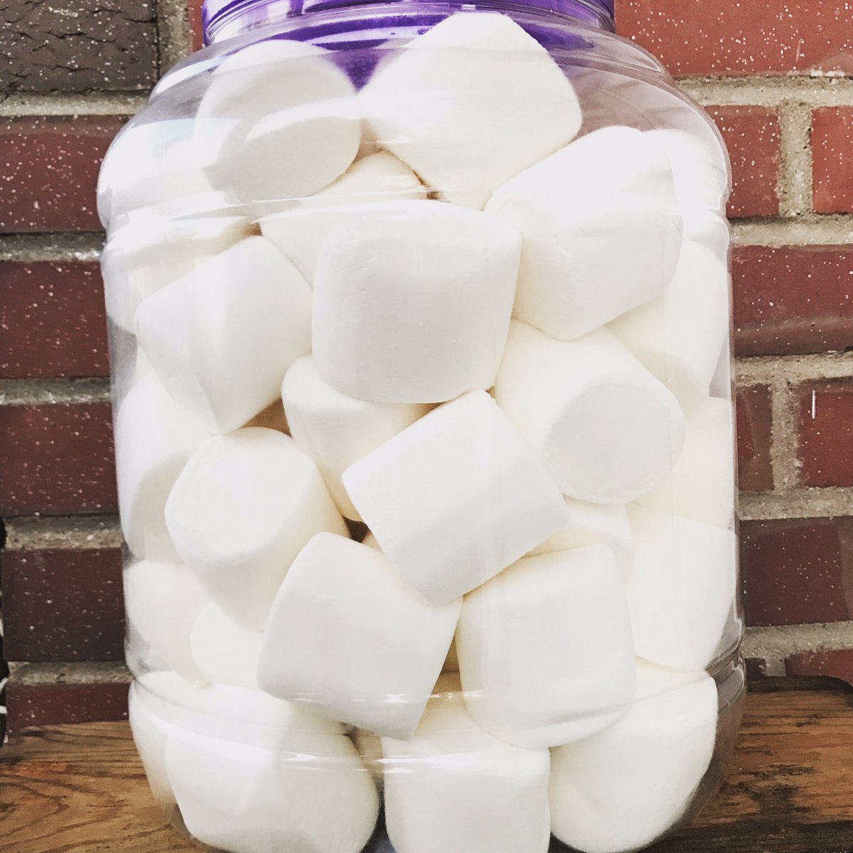 BrookstoneKids's tweet photo. Guess how many Marshmallows for a chance to win a Patagonia Daypack with goodies! RT a guess for an extra chance to win! #CampBrookstone https://t.co/md6Hvnz2i2