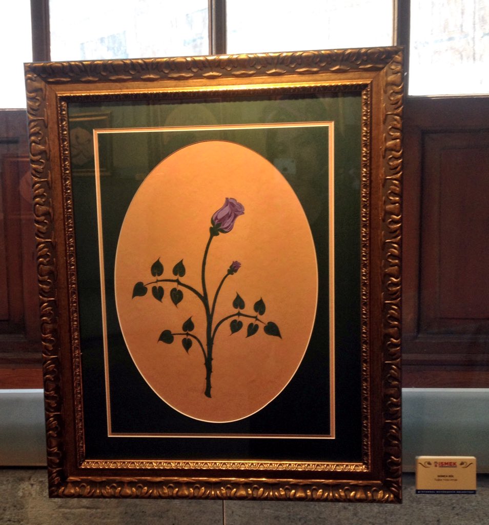 Tomurcuklu goncagül