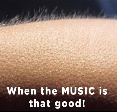 L0V3_Pretty's tweet image. Yees!! @SaadAyub 👈😍💙🎵😘
&amp;amp; @CubeTonic 😍💙🎵🙌🙌

" SO STRONG"...BEAUTIFUL!!😍

#ASOT809 😍💯🔊💙🎵🎵🎵🎵
Yes...Goosebumps!!..👇😍😍💙🎵