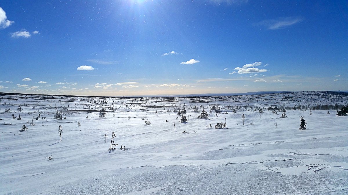Sälen levererar! Glad påsk! #Sälen #Lindvallen ➡ #Skidor #Skare 👍🗻👌