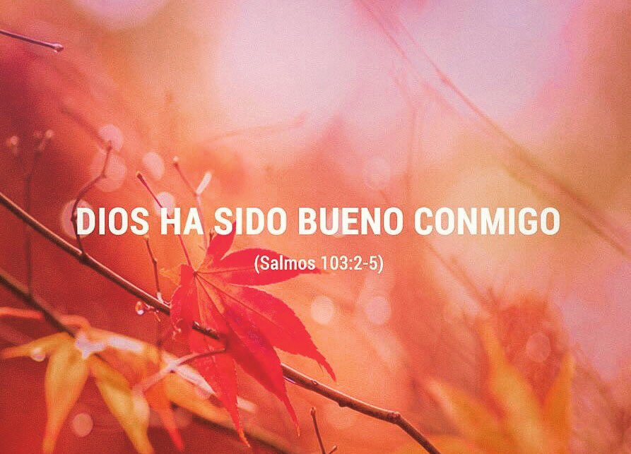 frederick5011's tweet photo. Dios ha sido bueno conmigo... https://t.co/QHtZTuGxRL