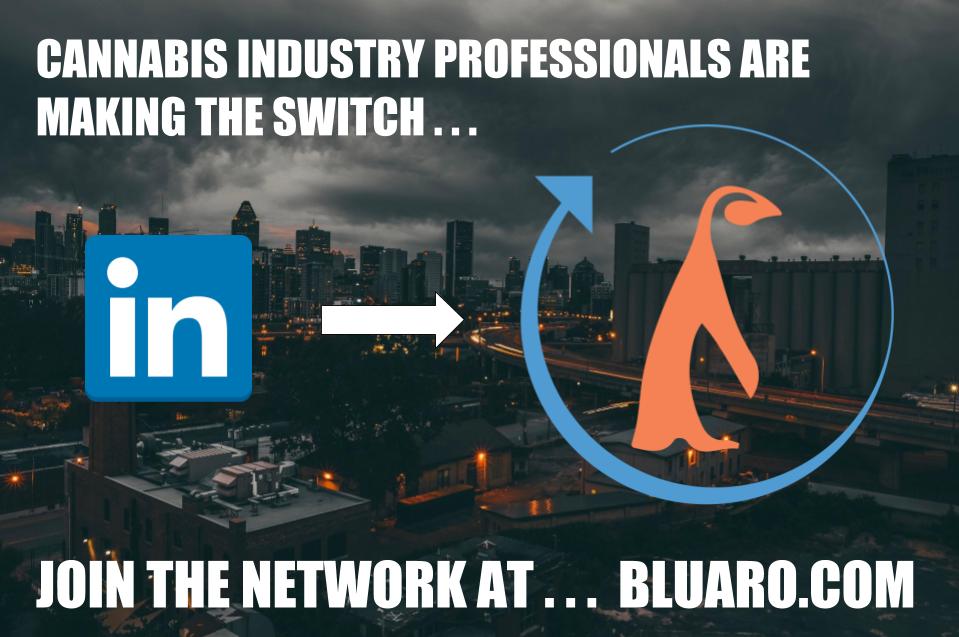 Blu_Aro's tweet image. #linkedin #Facebook #cannabis #Weedmaps #leafly
