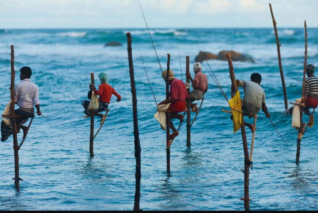 Happy #NewYear !
Singolare tecnica di pesca nello #SriLanka