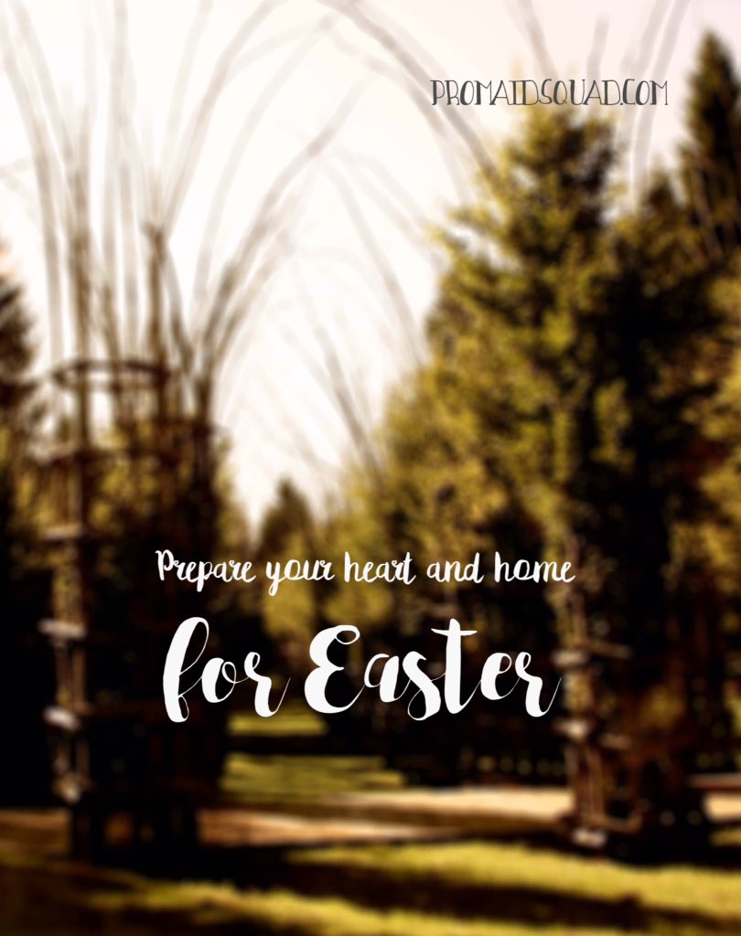 ProMaidSquad's tweet photo. #Promaidsquad #springcleaning #thursdaythoughts #easter2017 https://t.co/RCKqzXhDd9