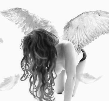 Sirshibari's tweet photo. That's it from me tonight .have a good one https://t.co/Q1fMPiFbhp