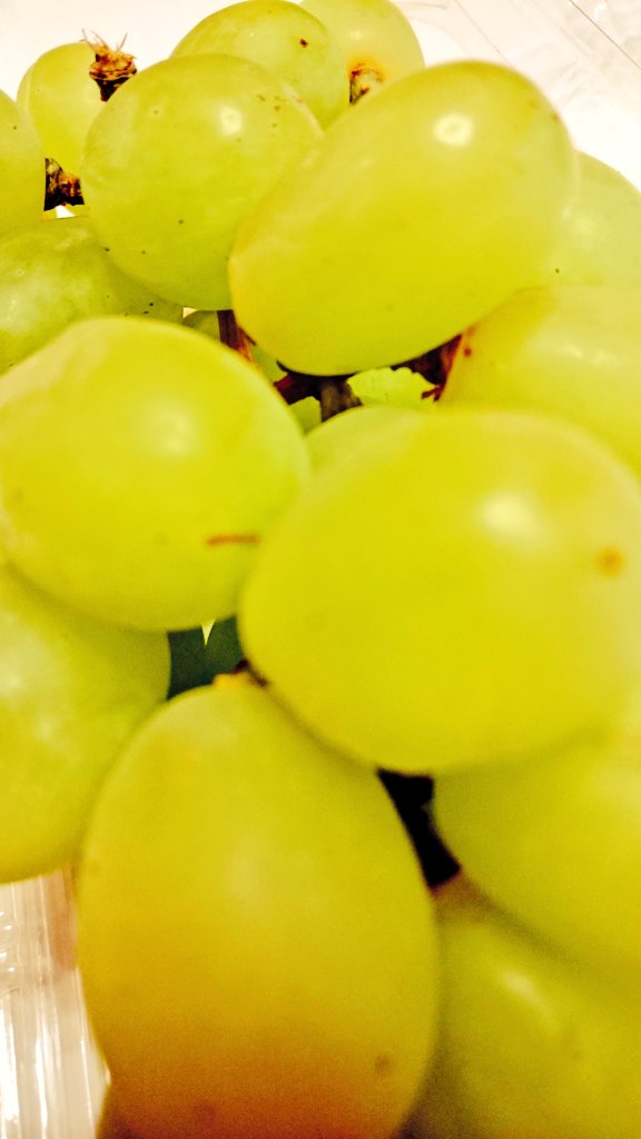 逆ホームシック