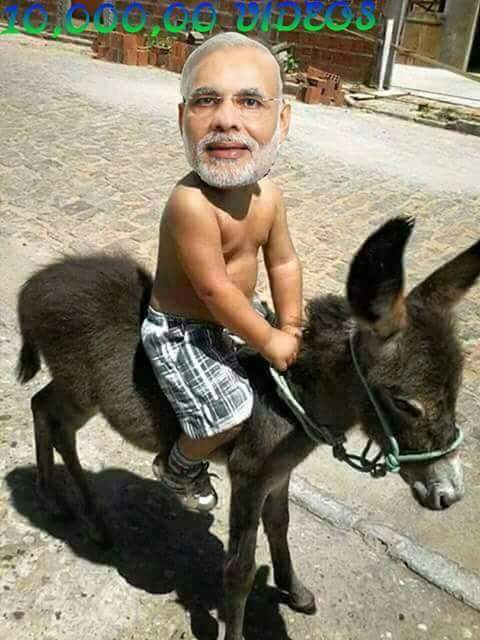 ShoaibPakistan6's tweet photo. گدھ https://t.co/whrusdGvAM