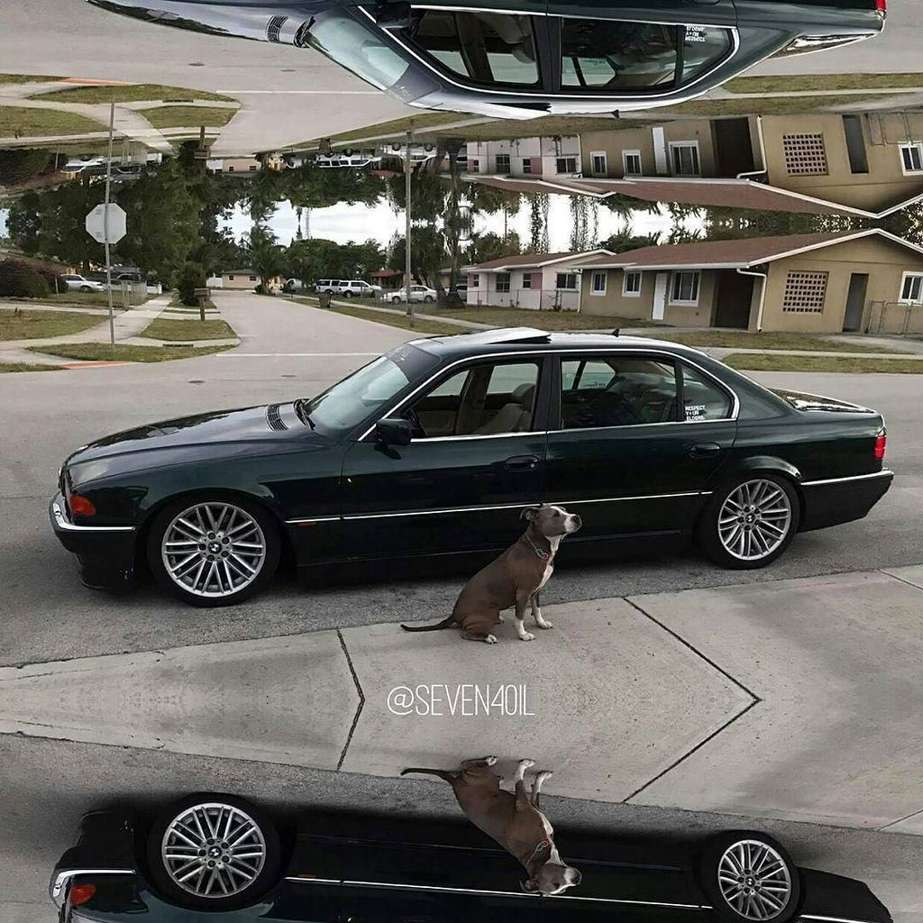 SEVEN40iL's tweet image. Personal Security 🐕

#BMW #E38 #7Series #7er #728i #728iL #730D #730i #735i #735iL #740D #740i #740iL #750i #750iL #BMWRepost #BMW7Series #…