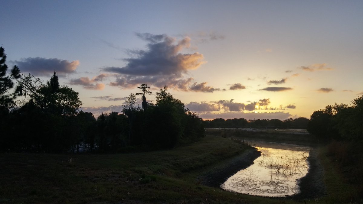 Blade_Runner54's tweet photo. Sunrise Splender..my viewβ
π² #sunrise #bluesky #selfcare #MilesToRide #workout #MentalHealthMatters #depression #anxiety https://t.co/Ii14YsU7zH