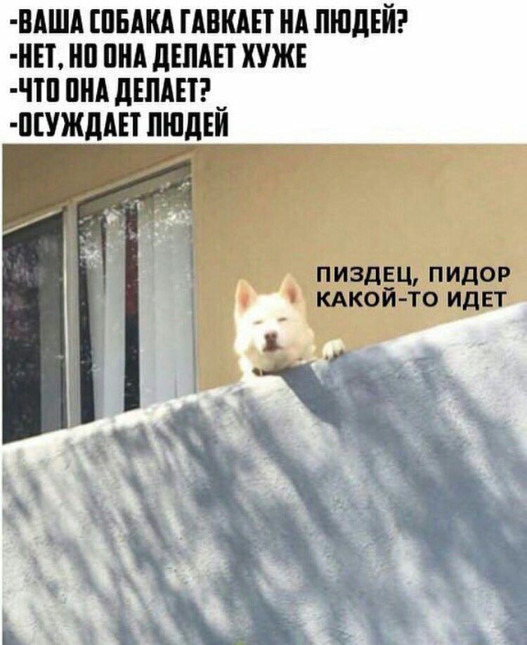 C9UpFAFWsAAnR-0.jpg