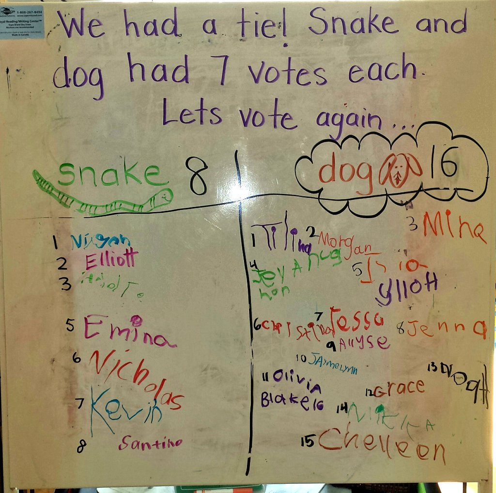 nlpsFDK's tweet photo. Interest in pets is emerging. Thanks to E for sharing his pets with us! Votes are in, our class pet will be a dog! πΆπ #coconstructedlearning https://t.co/9s1a7DwNhf