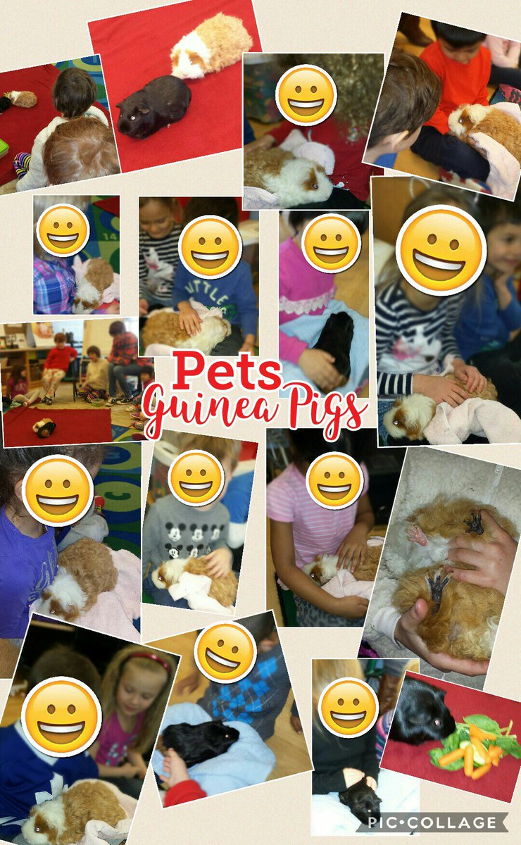 nlpsFDK's tweet photo. Interest in pets is emerging. Thanks to E for sharing his pets with us! Votes are in, our class pet will be a dog! πΆπ #coconstructedlearning https://t.co/9s1a7DwNhf