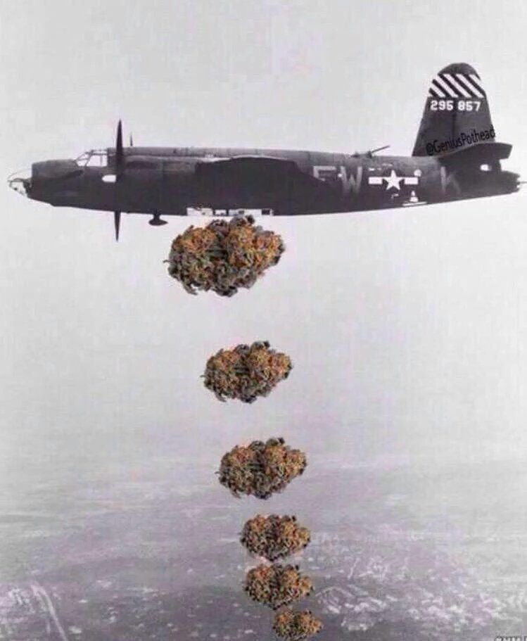 420's tweet photo. Meanwhile... in Canada... https://t.co/2tspgr8dKn