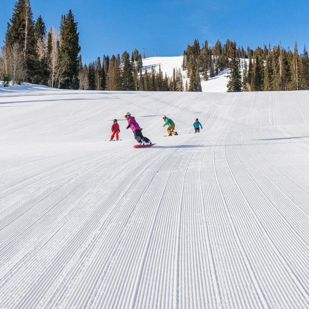 SolitudeMTN's tweet photo. It's closing weekend at @SkiSolitude. Come #FindSolitude! | #bigcottonwoodcanyon #SaltLakeCity #Utah #SkiUtah #SkiCity #Ski #Skiing #Snowbo… https://t.co/zAZ4oSBETJ