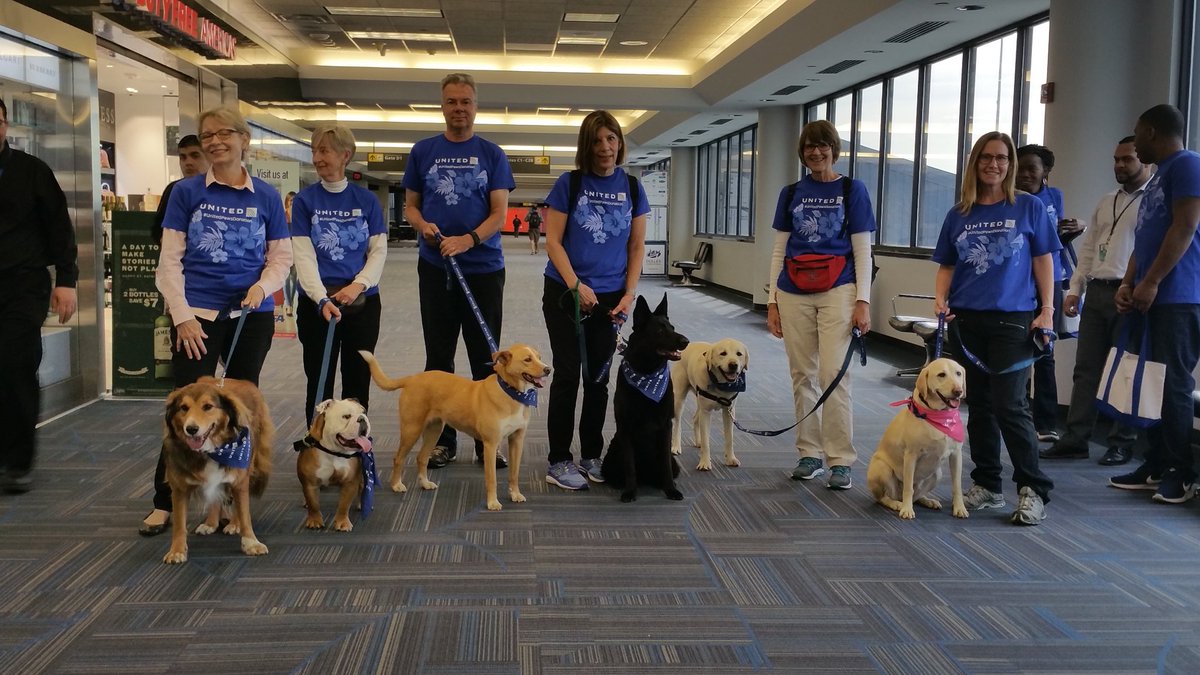 panos_kay's tweet photo. IAD Station hosting"People and Animal Love" therapy dogs in training cuties. #beingunited #UAIFSbaseIAD https://t.co/Sl3pI4HcFO