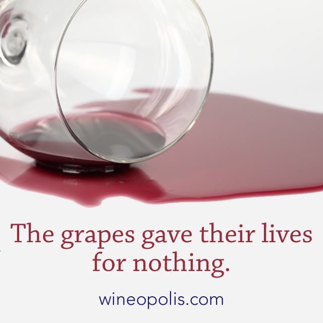wineopolis's tweet image. Spilling wine should be a crime. #grapes #wine #winelover #wineopolis #foodie #food